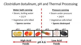 Clostridium botulinum [upl. by Neenaj379]