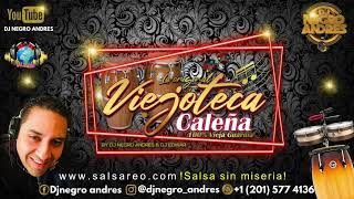 VIEJOTECA CALENA VOL 20 EN VIVO CORAL SPRINGS FLORIDA DJ NEGRO ANDRES [upl. by Dalpe676]