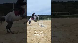 Alice séclate de plus en plus avec grisette horse pony equestrian cso cheval jumping [upl. by Nnaeiluj]