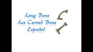 Que Hacer Con Los Long Bone Y Los Curved Bone OSRS Español [upl. by Tnerual]