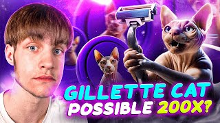 GILLETTE CAT the best a man can get [upl. by Novyak45]