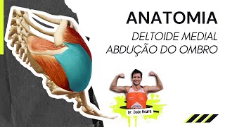 Anatomia do Deltoide Medial  Abdução do Ombro [upl. by Leunamesoj]