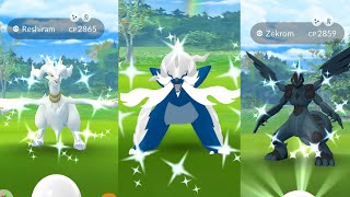 Omg 🤯 Shiny hisui samurott amp shiny wyrdeer in pokemon go [upl. by Alboran]