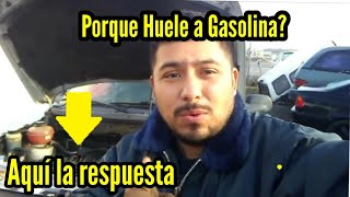 Sabes Porque Tu Auto Huele A Gasolina AQUÍ La Respuesta [upl. by Clo587]