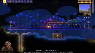 Terraria  100 Trophy Gameplay PS4 Part 8 [upl. by Senalda237]