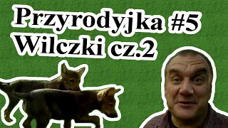 Przyrodyjka 5 Wilczki część 2 [upl. by Whelan]