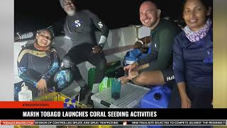 MARIN TOBAGO LAUNCHES CORAL SEEDING ACTIVITIES [upl. by Rodney]