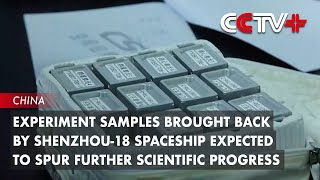 Experiment Samples Brought Back by Shenzhou18 Spaceship to Spur Further Scientific Progress [upl. by Eeniffar]