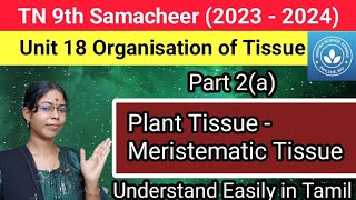 Plant Tissue  Meristematic Tissue Class 9 Science Term 1 Unit 18 Organisation of Tissue [upl. by Rafa]