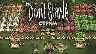 🔴LIVE  Соло новый сейв  Dont Starve together [upl. by Haletky442]