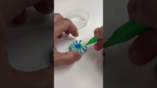 Watch this compressed towel unfold into a colorful design with just a little drop of liquid [upl. by Aisya]