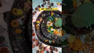 जय भोलेनाथ jaibholenaath mandir diwali shivling viral shorts ashokblogsandstreetfood [upl. by Anaynek]