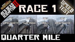 RDR2 8 Horse 14 Mile RaceSpeed Test Norfolk Arabian Criollo Breton [upl. by Anneliese]