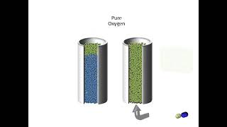 Pressure Swing Adsorber I pressure swing adsorption process I pressure swing adsorption animation [upl. by Oirasan]