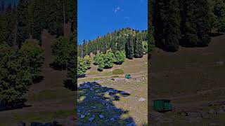 View❤️ greensky viralvideos subscribe travel roadtrip mountainview kashmir jannat nature [upl. by Enelra]