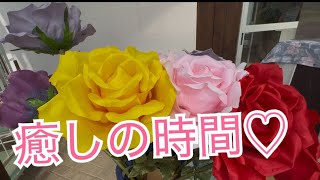 島田市ばらの丘公園ライブ🌹 [upl. by Ahseined]