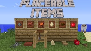 Minecraft Placeable Items Mod 1710 [upl. by Alyhc170]