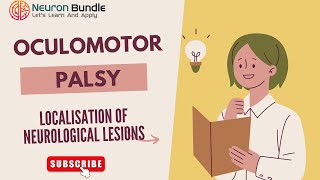 oculomotor nerve palsy  3rd nerve paralysis  ptosis  cranialnerves [upl. by Sayer]