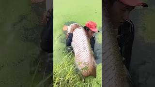 fishing fisherman fishermanlife carpfishing fishermanslife fishingtips fishermansbassfishing [upl. by Aradnahc]