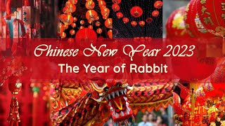 Chinese New Year 2023  কোথায় গেলাম আমরা  কিভাবে সময় কাটালাম  কলকাতায় এক নতুন জায়গা আবিষ্কার [upl. by Nadean829]