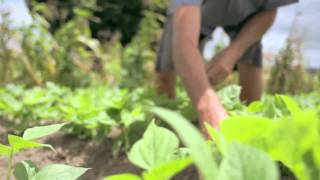 Construção do conhecimento agroecológico do Polo da Borborema [upl. by Ettevets]