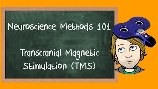 Transcranial Magnetic Stimulation TMS explained  Neuroscience Methods 101 [upl. by Elyk]