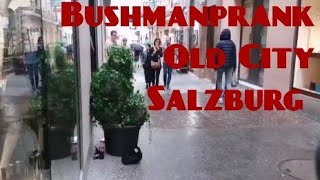 Bushman Prank  Salzburg Altstadt [upl. by Kallman]