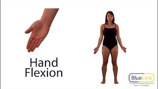 Hand Flexion Extension Hyperextension [upl. by Swithbart]