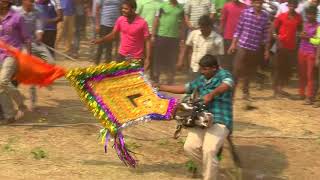 samanur bull race [upl. by Ailahk]