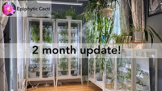 Rhipsalis Closet  Milsbo Greenhouse Cabinets 2 Month Update [upl. by Lovato672]