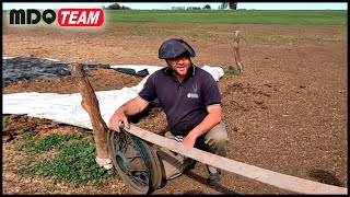 HOY EN VIDA CAMPESTRE TOCA LIMPIEZA EN EL CAMPO [upl. by Ecilahs]