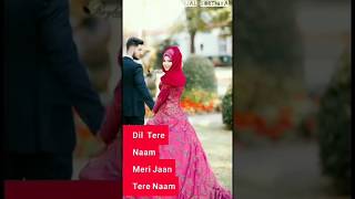 Dil Tere Naam Meri Jaan Tere Naam Full Screen WhatsApp Status  Best Punjabi WhatsApp Status [upl. by Ynaffyt]