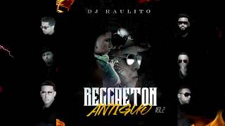 REGGAETON ANTIGUO MIX 02  DJ RAULITO Clasicos Del Reggaetón [upl. by Koeninger843]