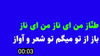 Moein Tannaz طنٌاز معین persian karaoke Farsi کارائوکه فارسی بی کلام [upl. by Ahsekan]