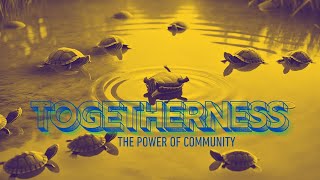 Turtles Instinctively Helping Another In Trouble  Great Sermon Illustration [upl. by Crispin991]