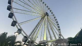 Skyviews Miami Observation Wheel at Bayside Marketplace Miami Florida [upl. by Darahs74]