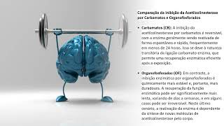 Intoxicação por Organofosforados e carbamatos [upl. by Volkan766]