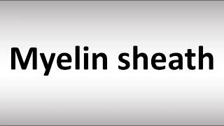 How to Pronounce Myelin sheath [upl. by Remliw]