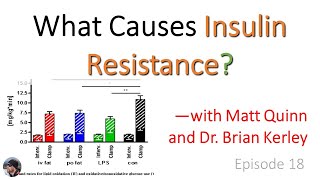 Ep 18 What Causes Insulin Resistance—with Matt Quinn and Dr Brian Kerley [upl. by Ellierim]