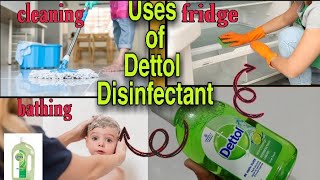 Dettol Disinfectant Liquid Lime Fresh Review  Multipurpose Uses [upl. by Tri]