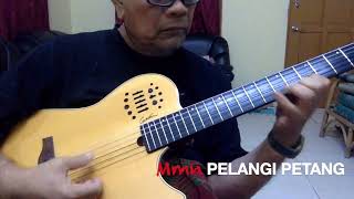 PELANGI PETANG  MMN AKUSTIK COVER [upl. by Melas]