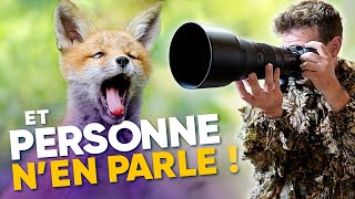 Le MEILLEUR réglage pour la photo animalière [upl. by Ham136]