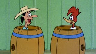 Woody is Wanted  25 Hours of Classic Episodes of Woody Woodpecker [upl. by Theis272]