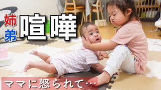 【バトル勃発】やりすぎ…1歳弟とダウン症4歳姉の距離感が難しい [upl. by Pernas446]