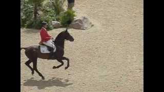 Olympic Horse Jumping London Bridge to a Double [upl. by Arabele]