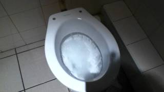 Powerful VilleroyampBosh toilet on Flushometer [upl. by Honeywell907]