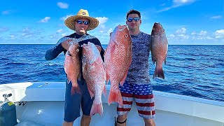 Spearfishing snapper Catch Clean Cook [upl. by Gerda]