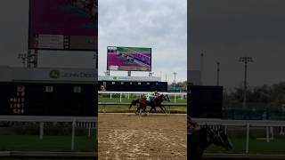 Kentucky Derby Up Close horseracing churchilldowns [upl. by Gnourt946]