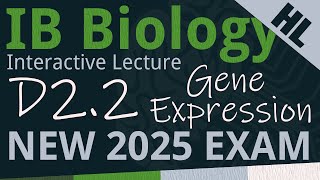 NEW 2025 EXAM  IB Biology D22  Gene Expression AHL  Interactive Lecture [upl. by Guria]