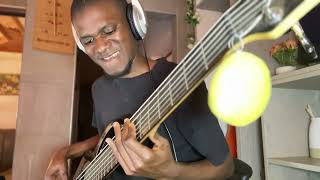 Mncwi Strruu  Iziwula  Psalmist Sefako  Bass Cover [upl. by Epotimet]